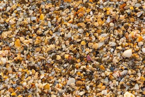 Stone and sand shells scattered on the beach Stock Photos
