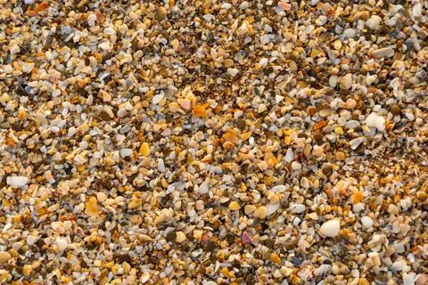 Stone and sand shells scattered on the beach Stock Photos