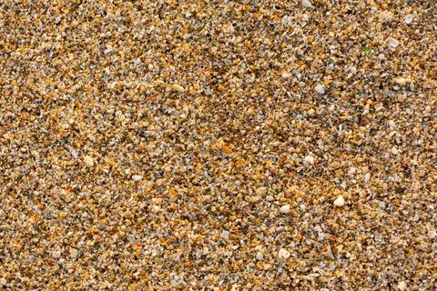 Stone and sand shells scattered on the beach 스톡 사진