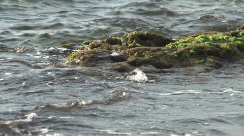 Stone and the sea waves Stock Footage 45491379