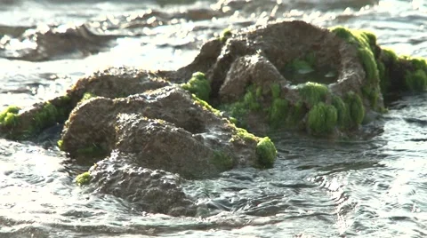 Stone and the sea waves Stock Footage 45493301