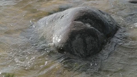 Stone and waves Stock Footage