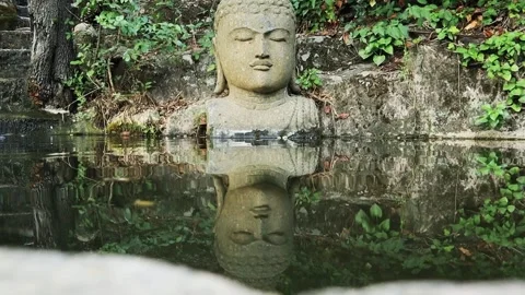 Stone antique statue of Buddha in deep forest A lake in wood Calmness Stock Footage 247575712