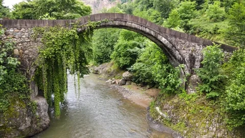 Stone Arch Bridge Stock Footage 330878894