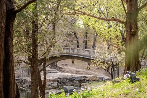 Stone arch bridge framed by trees in Beijing garden Stock Photos