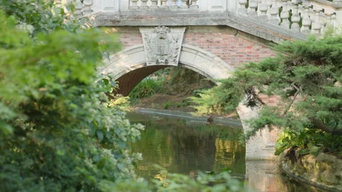 Stone Arch Bridge Over a Calm Park Pond Framed by Lush Green Foliage Stock Footage 340477339