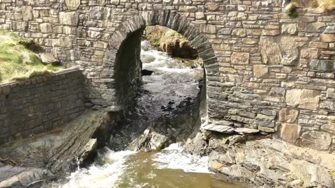 Stone Arch Bridge with River, and Nature. Stock Footage 304972996