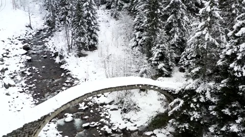 Stone Arch Bridge in Snowy Forest Vídeo Stock 334796847