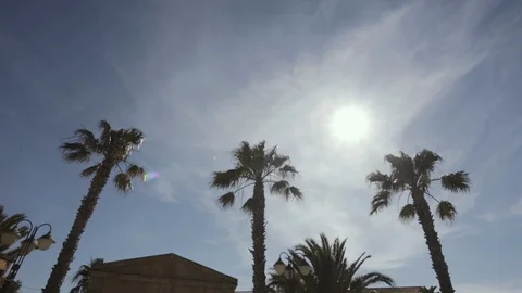 Stone arch with palm trees Stock Footage 86487270