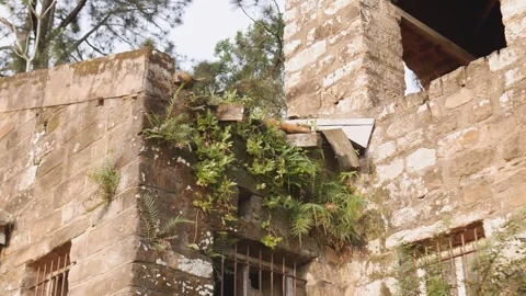 Stone Arches in the Jesuit Missions. Stock Footage 314746974