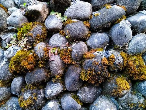 Stone Arrangement Stock Photos