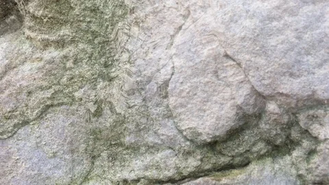 Stone background animation Stock Footage 101168686