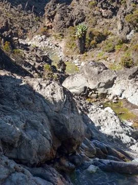 Stone background close-up. View from above Stock Photos