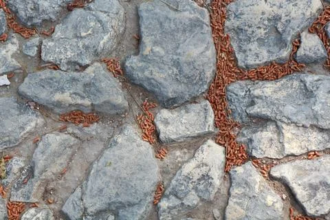 Stone background. cobblestone pavement Stock-Fotos