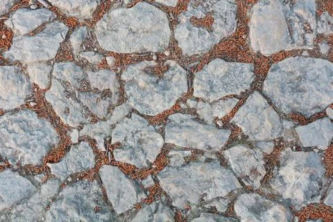 Stone background. cobblestone pavement Stock Photos
