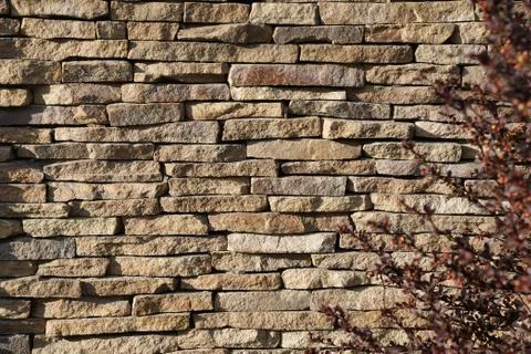Stone background for design. Stock Photos