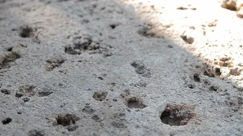 Stone background with moving patterns Stock Footage 95427411