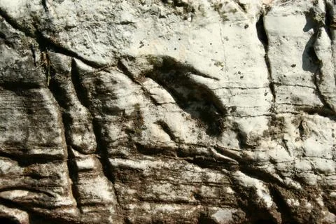 Stone background Stock Photos