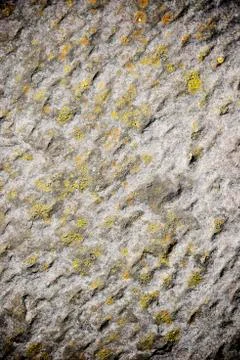 Stone background Фото