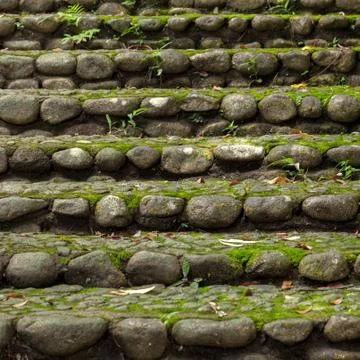 Stone background. Stock Photos