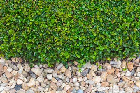 Stone background Stock Photos