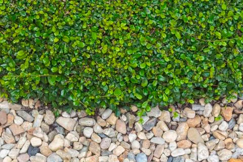 Stone background Stock Photos