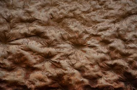 Stone background Stock Photos