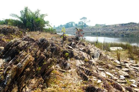 Stone background at river Stock Photos