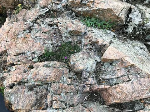 Stone background, rock formation. Stock Photos