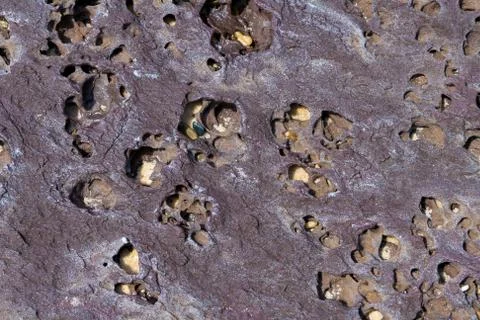 Stone background texture, abstract formation of mineral rock in marine enviro Stock Photos