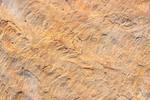 Stone background texture background natural stone close-up Stock Photos