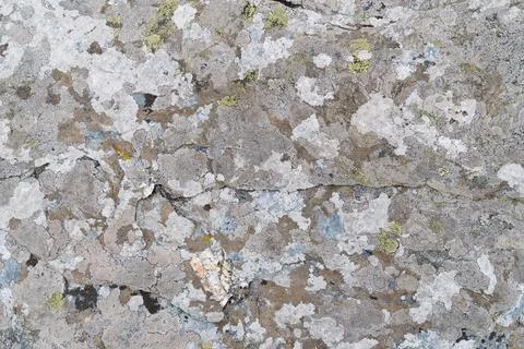 Stone background with textured surface and Lichen Moss. Pattern mineral with  Stock Photos