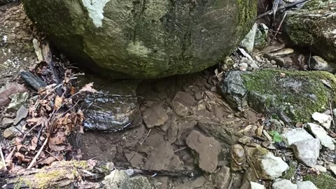Stone balls Stock Footage 171174512