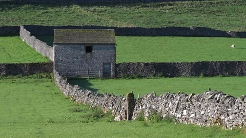 A stone barn in a pattern of stone walls in Matlock Derbyshire in the spring Video stock 339209046
