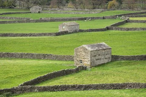 Stone barns and dry stone walls near Gunnerside in Swaledale, Yorkshire Dales Stock Photos