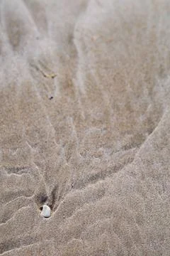 Stone on the beach of Denia Stock Photos