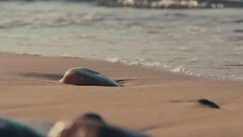 Stone on the beach Video stock 80182765