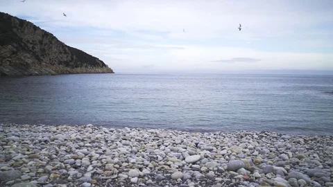 Stone beach on island in the fall on cloudy day Stock Footage 83458203