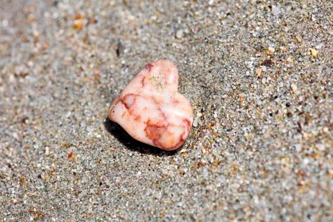 Stone on the beach macro background high quality 50,6 Megapixels Stock Photos