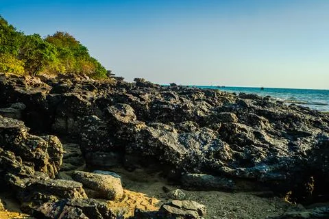 Stone on the  beach Stock Photos