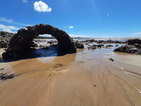 Stone on the beach Stock Photos