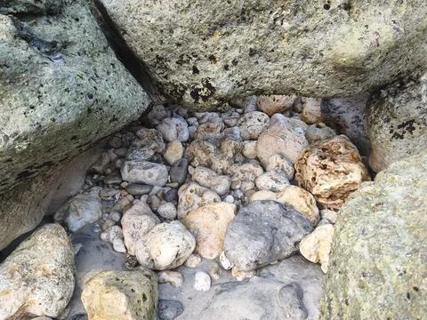 Stone on the beach Stock Photos