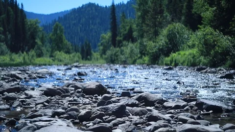Stone beaches of a mountain river in summer Stock Footage 105946765
