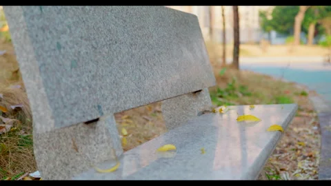 Stone Bench with Fallen Leaves for Mindfulness and Slow Living Content Video stock 327525620