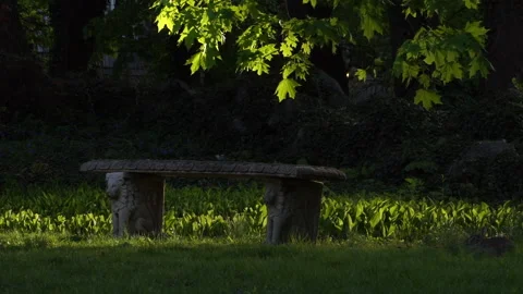 STONE BENCH Video stock 193747811