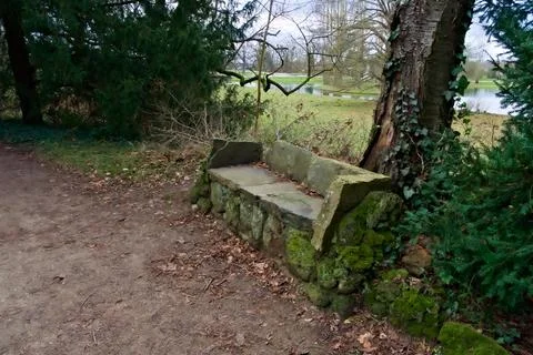 Stone Bench Framed by Greenery Stock Photos