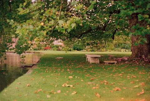 Stone bench in ideal park Stock Photos