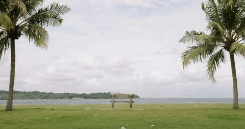 A stone bench in the middle between two palm trees overlooking the sea Video stock 127376575