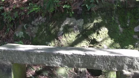 Stone bench in the park Stock-Footage 235136430