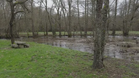 Stone Bench On A Riverside With A Lot Of Oak Trees And Green Vegetation Stock-Footage 331442861